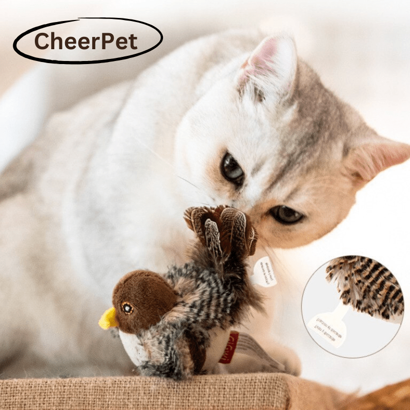 50% RABATT | CheerPet™ Vogelspielzeug mit Flügeln für Katzen