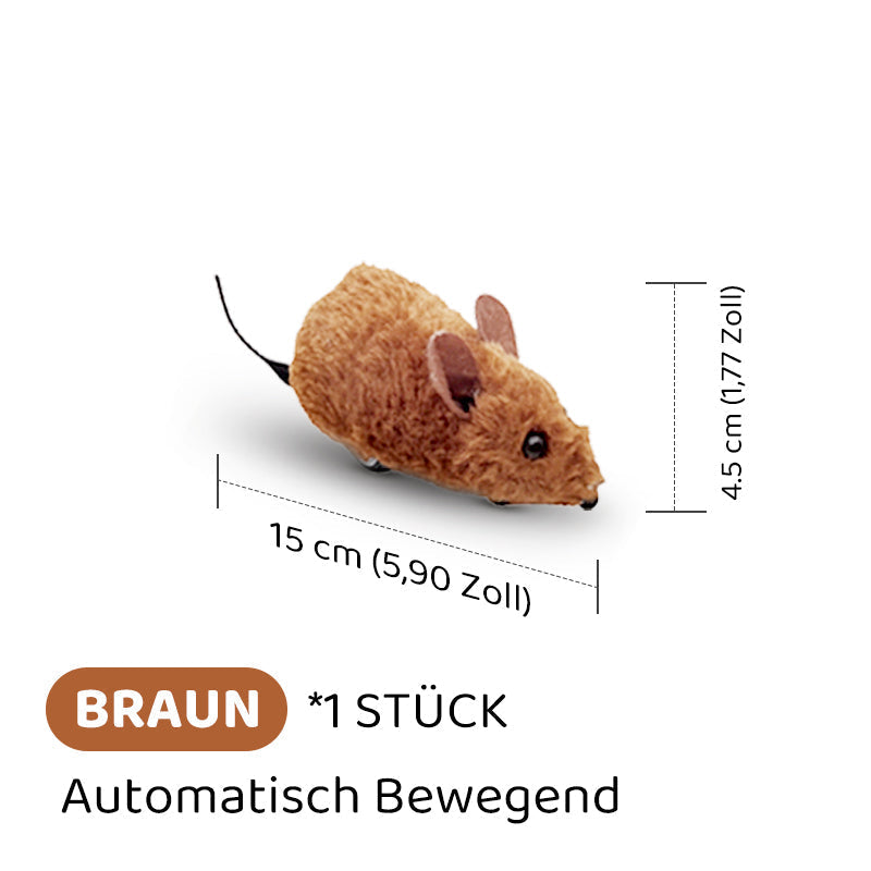1+1 GRATIS | ZoomWhisk™ | Spannender Quarz-Klang