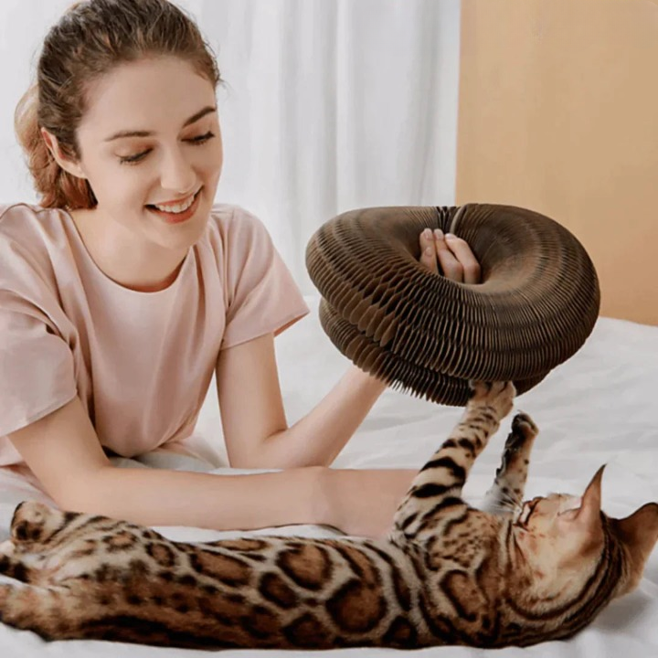 Interaktives Katzenspielzeug aus Karton für aktive Hauskatzen