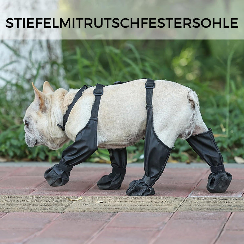 1+1 GRATIS | PawShield - Sichere und komfortable Pfoten
