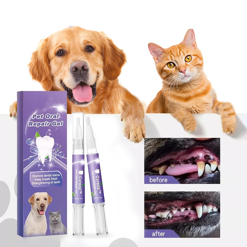 1 + 1 Gratis | Pawlieve™ | Zahngel für Haustiere – Beruhigt & Schmerzlindert