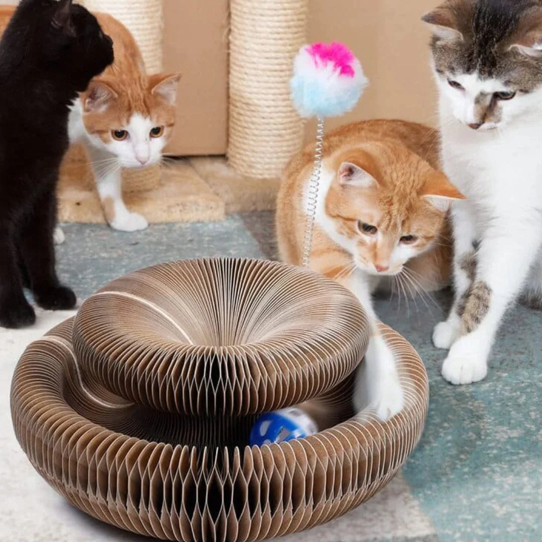 ScratchSafe® | Möbel schützendes Katzenspielzeug