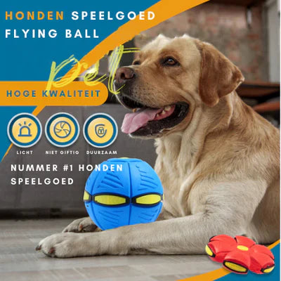 FlyBall X™ - Verwandelbarer Schwebeball für Hunde