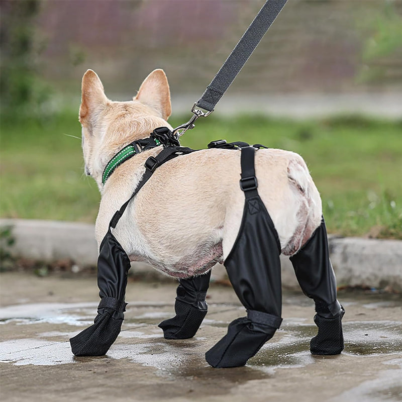 1+1 GRATIS | PawShield - Sichere und komfortable Pfoten
