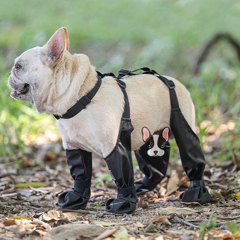 1+1 GRATIS | PawShield - Sichere und komfortable Pfoten