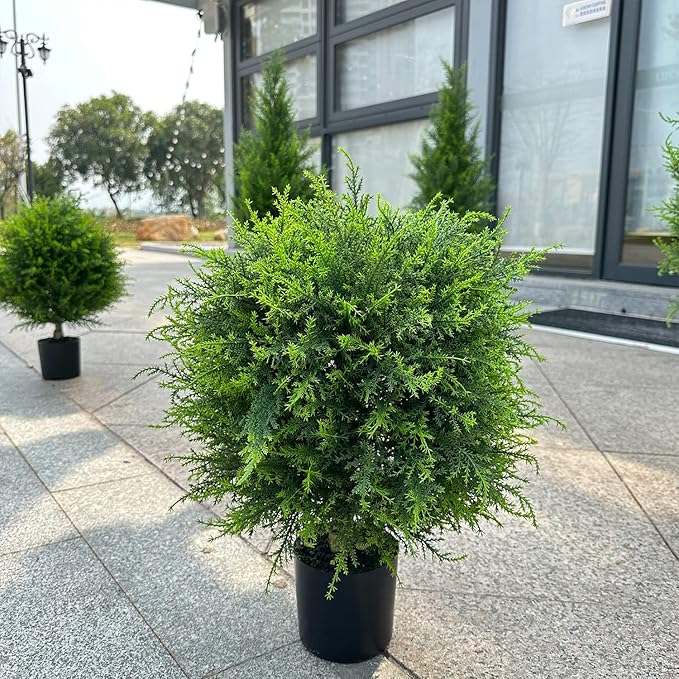 CedarLux® | Zedern Kugelbaum