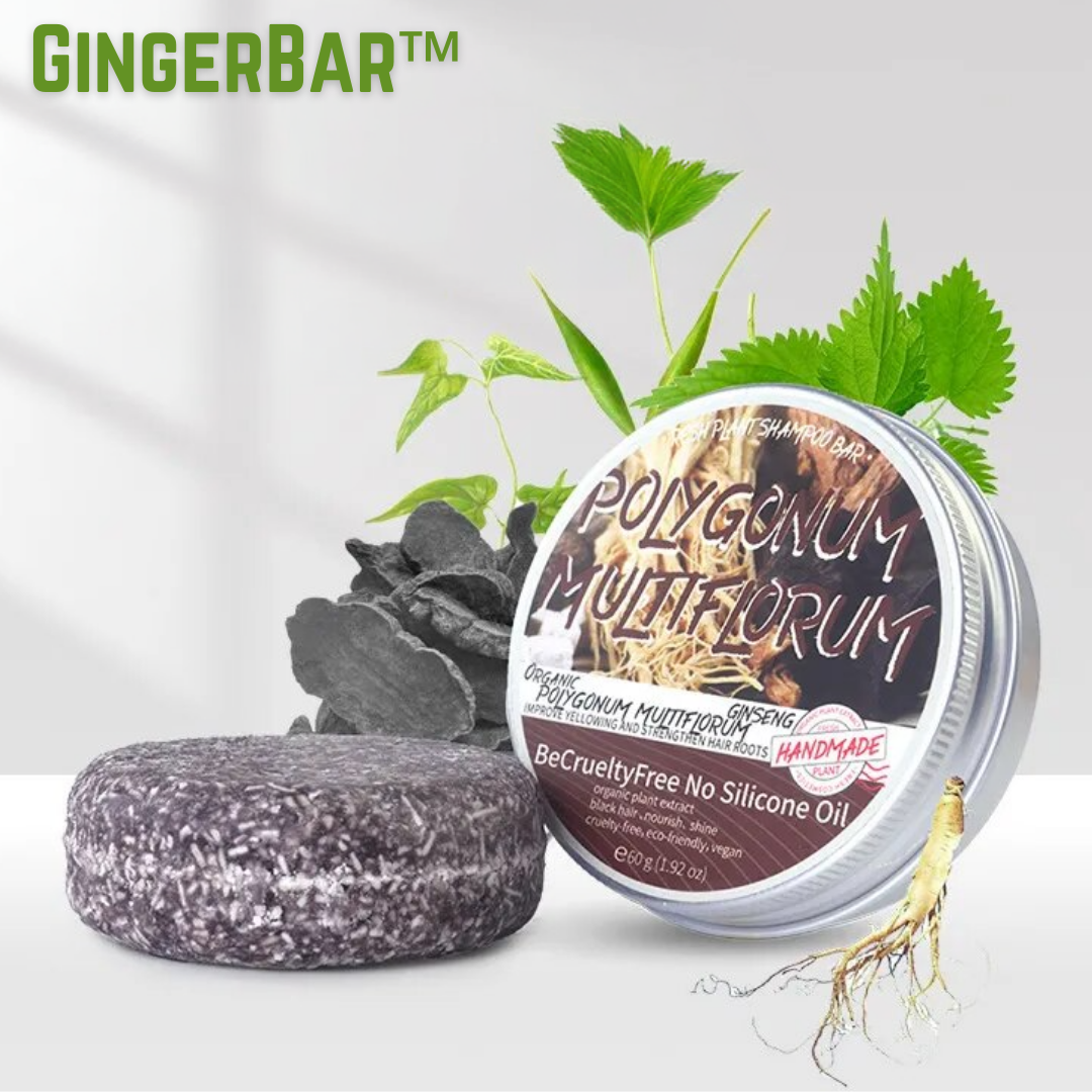 1+1 GRATIS | GingerBar™ | Haarverdunkelungs-Shampoo Bar