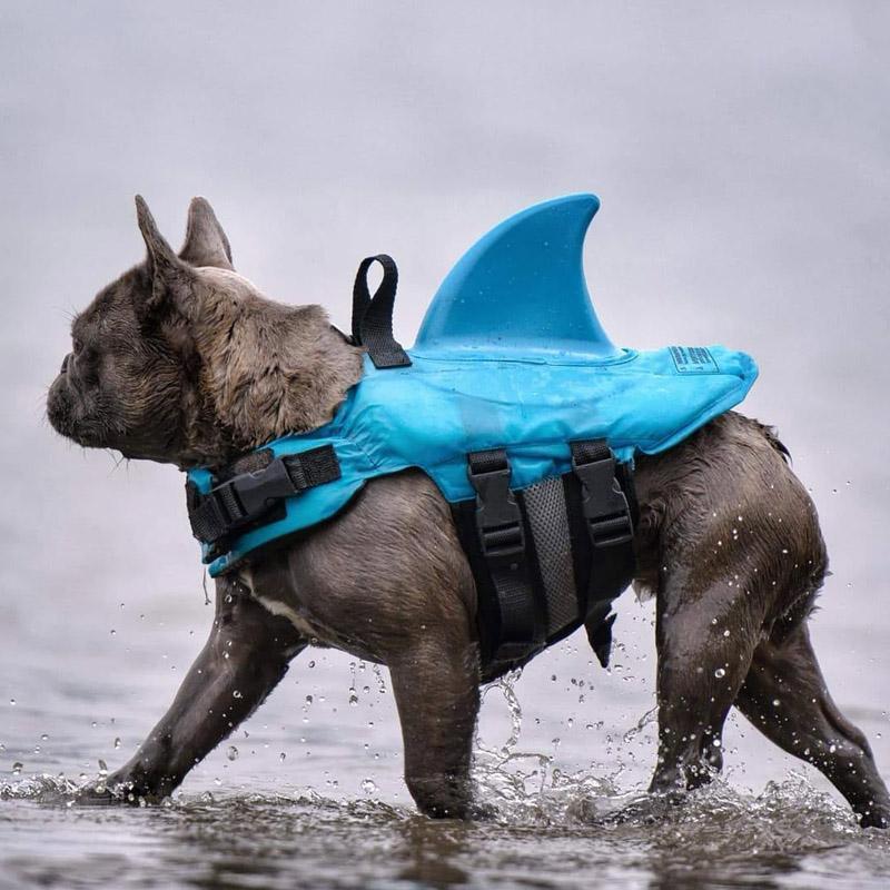 50% RABATT | PawFin | Schwimmweste mit Haifischflosse für Hunde