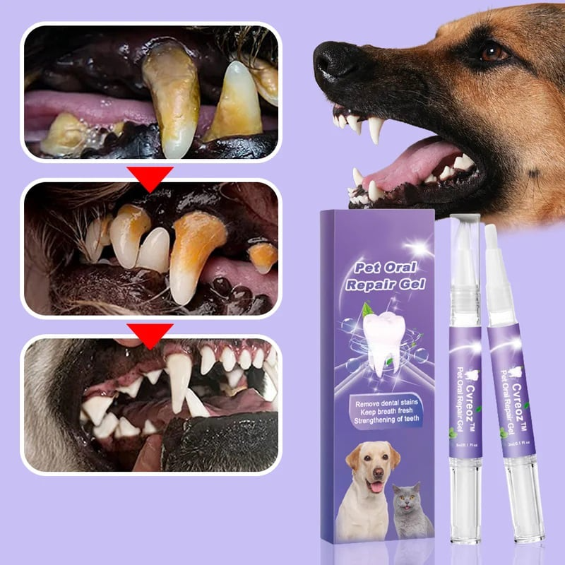 1 + 1 Gratis | Pawlieve™ | Zahngel für Haustiere – Beruhigt & Schmerzlindert
