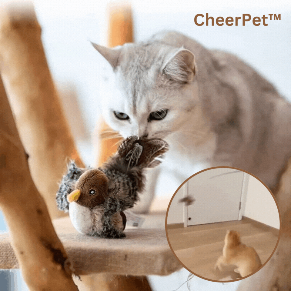 CheerPet™ | Interaktiver Spaß