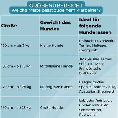 SplashPaws™ - Sommerlicher Wasserspaß für Hunde und Kinder