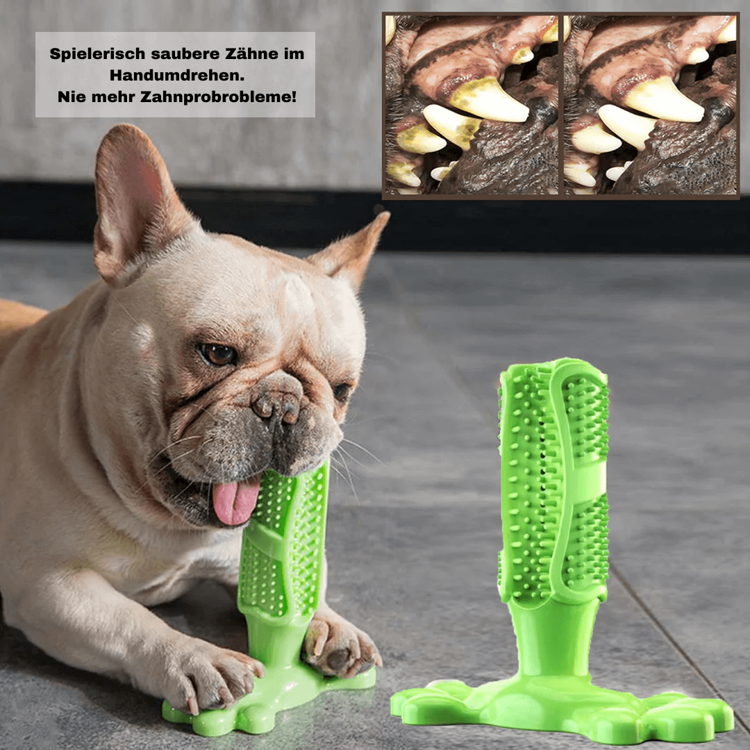 1+1 GRATIS | FurPal™ - Machen Sie die Zahnpflege Ihres Hundes zu einer stressfreien Routine!