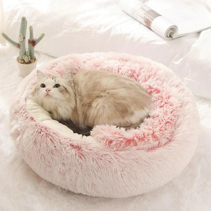 KittyCove® | Katzenhöhle-Bett