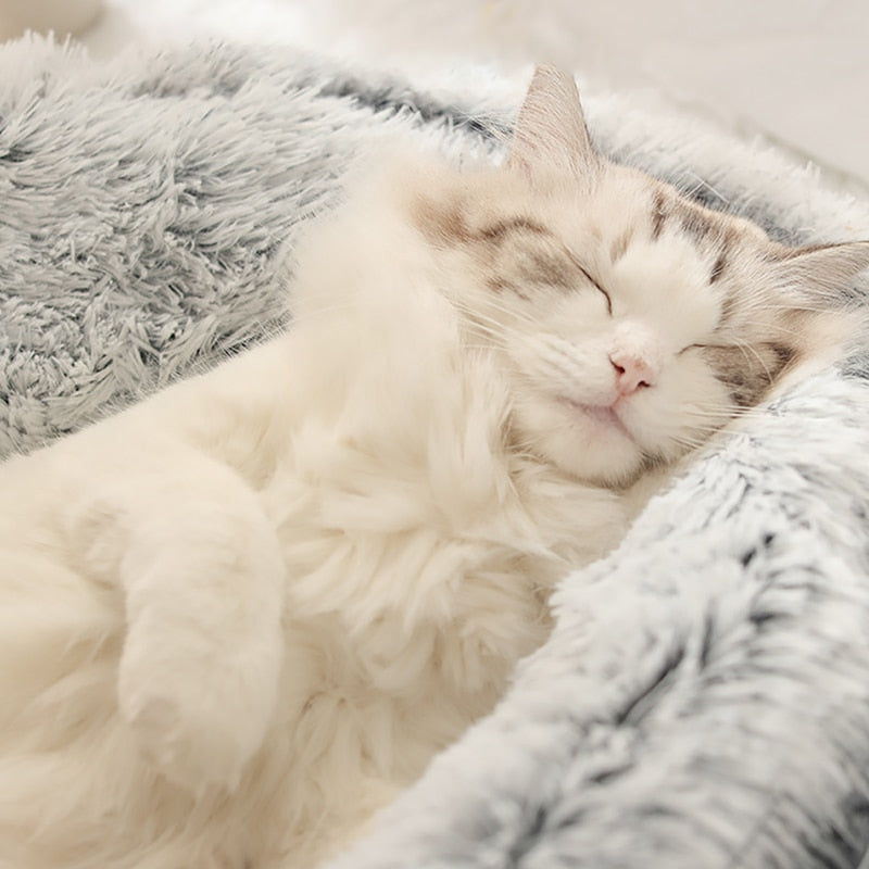 Flauschiges Katzenbett rund für gemütlichen Schlaf und Komfort