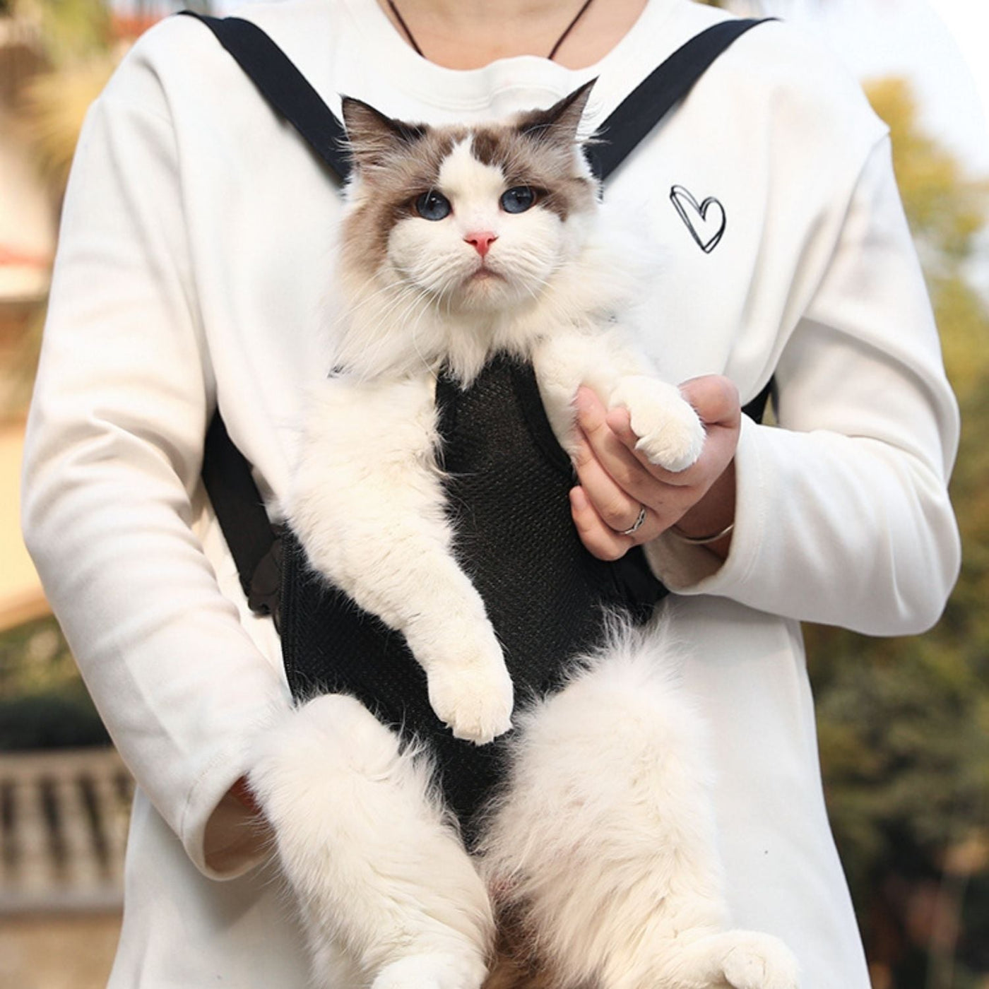 50% RABATT | CozyPaws - Tragetasche für Katzen und kleine Hunde