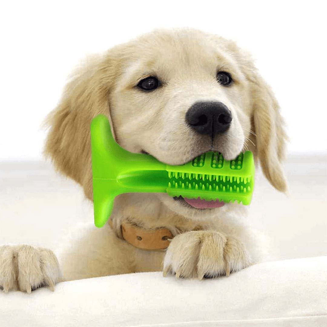 1+1 GRATIS | FurPal™ - Machen Sie die Zahnpflege Ihres Hundes zu einer stressfreien Routine!
