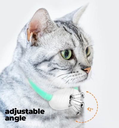 50% RABATT | GlowChase | Play Light Halsband für Kätzchen & kleine Hunde