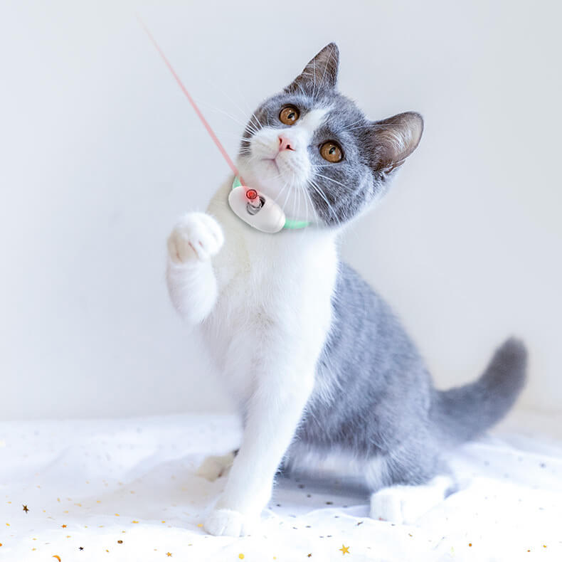 50% RABATT | GlowChase | Play Light Halsband für Kätzchen & kleine Hunde