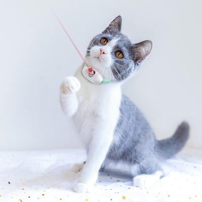 50% RABATT | GlowChase | Play Light Halsband für Kätzchen & kleine Hunde