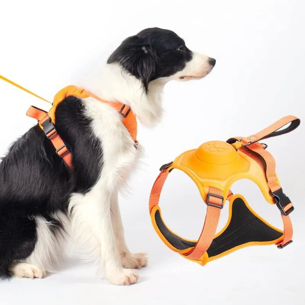 WalkGuard® | DuoHarness Komplettes Geschirr-Leinen-Set