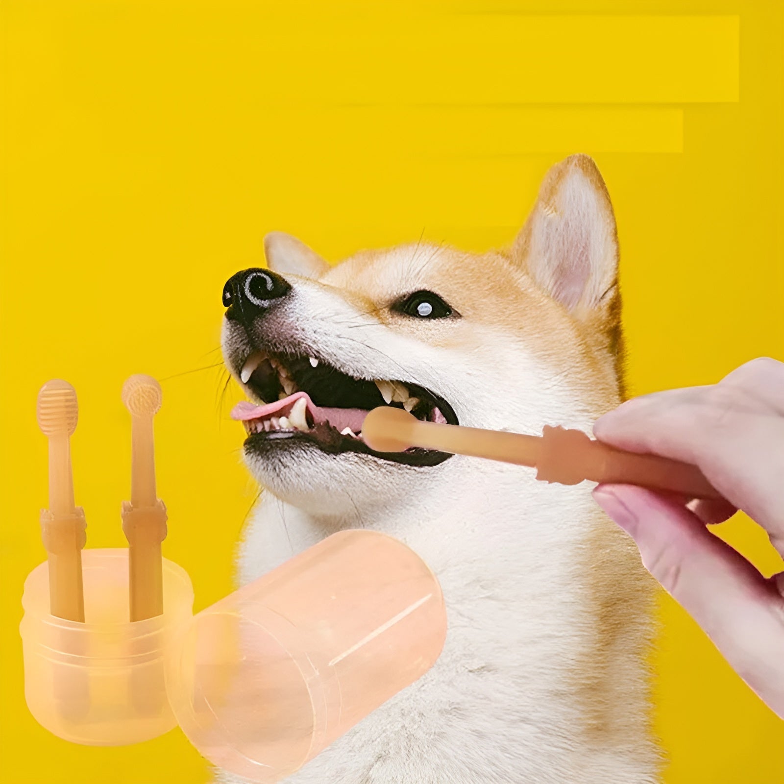 1+1 GRATIS | FurSmile - Haustierzahnbürste mit Zungenschaber | 1+1 GRATIS