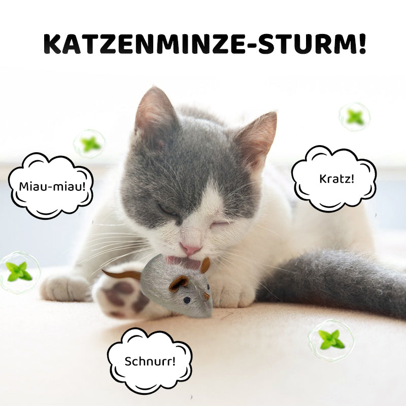 1+1 GRATIS | ZoomWhisk™ | Spannender Quarz-Klang