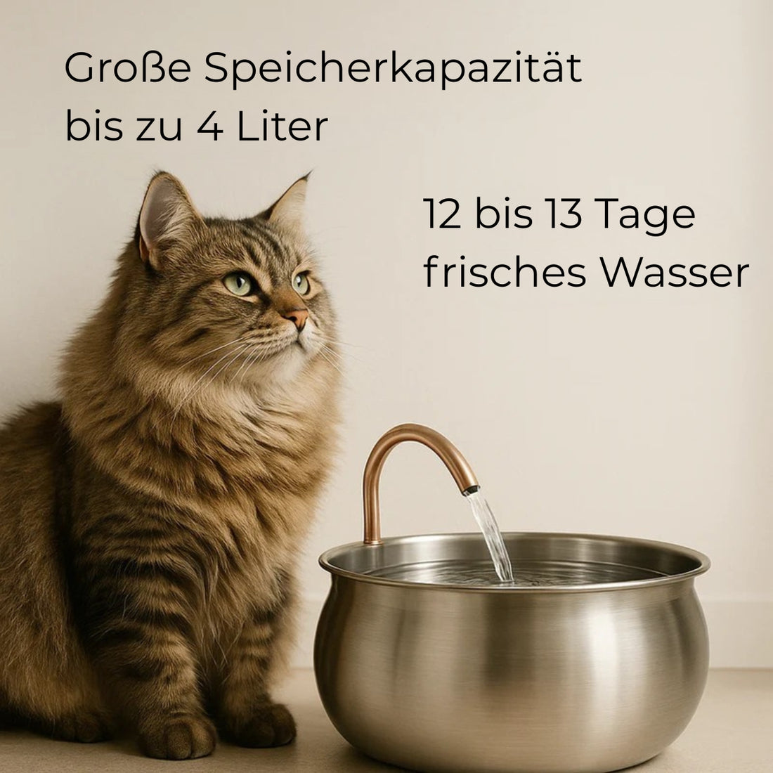 WhiskerWell | Flüsterleiser Edelstahl-Katzenbrunnen | Saubere, fließende, stressfreie Flüssigkeitszufuhr