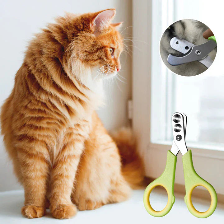 1 + 1 Gratis | FurClip™ Schneiden Sie die Nägel Ihrer Haustiere einfach und schnell! [Letzter Tag Rabatt]