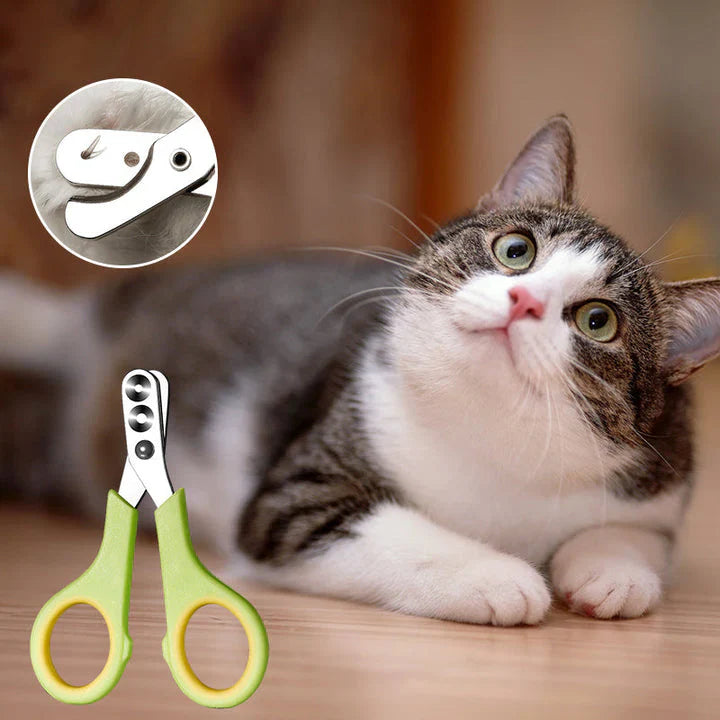 1 + 1 Gratis | FurClip™ Schneiden Sie die Nägel Ihrer Haustiere einfach und schnell! [Letzter Tag Rabatt]