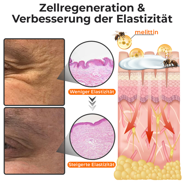 StingLift™ | Kollagen+ Bienengift Augencreme für Männer