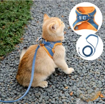 PawGuard Harness - Bequemes Katzengeschirr mit reflektierenden Streifen für sichere Nächte