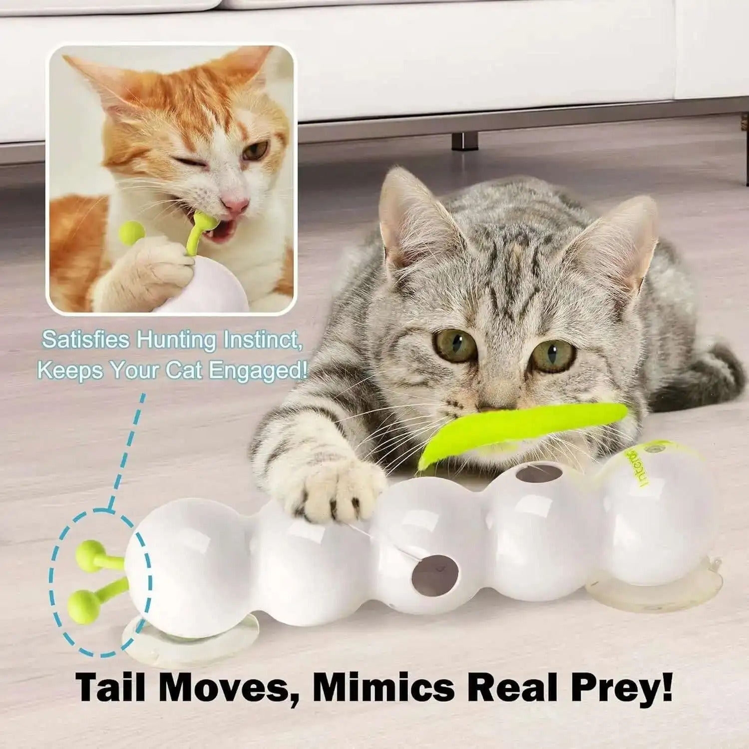 WhiskerTwist® Interaktives Katzenspielzeug