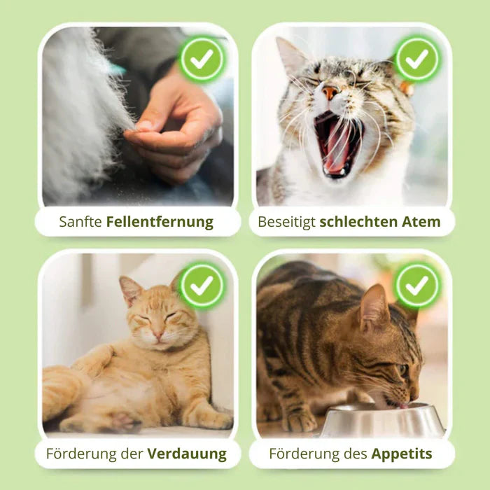 1+1 GRATIS HEUTE | WhiskerChews™ | Gesunde Kauspielzeuge für eine glückliche, haarballenfreie Katze!