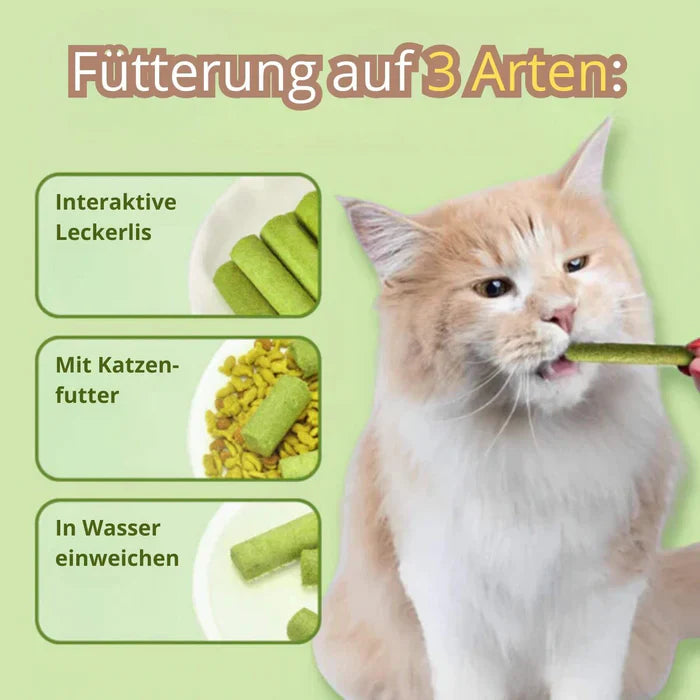 1+1 GRATIS HEUTE | WhiskerChews™ | Gesunde Kauspielzeuge für eine glückliche, haarballenfreie Katze!