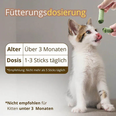 1+1 GRATIS HEUTE | WhiskerChews™ | Gesunde Kauspielzeuge für eine glückliche, haarballenfreie Katze!