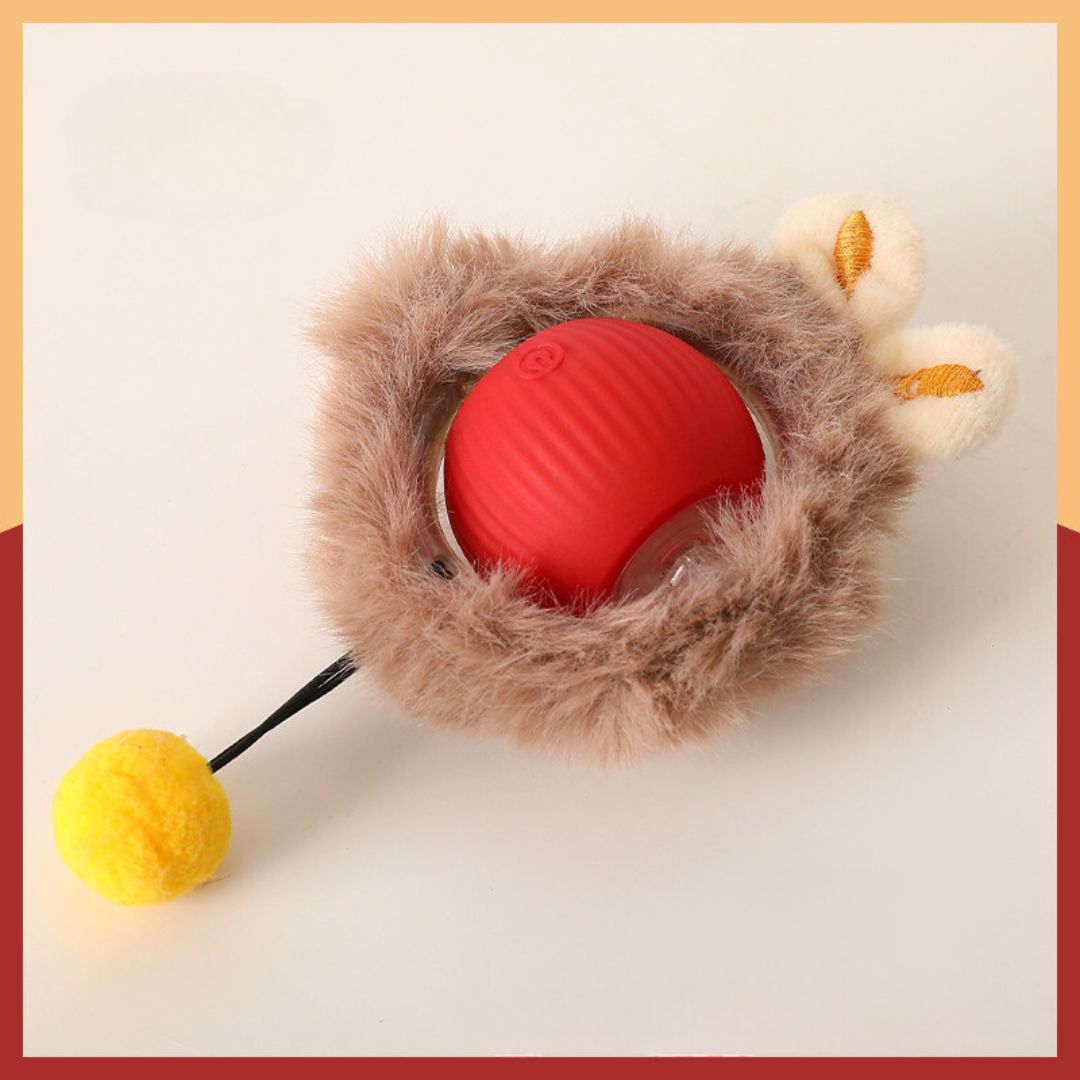 1+1 GRATIS | TailChase™ - Der interaktive Spielball für glückliche Katzen!