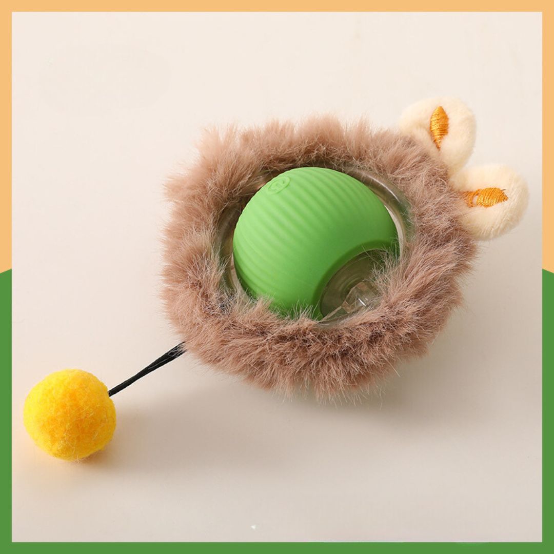 1+1 GRATIS | TailChase™ - Der interaktive Spielball für glückliche Katzen!