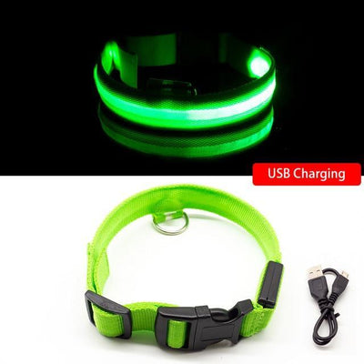50% RABATT | BrightTail™ | LED