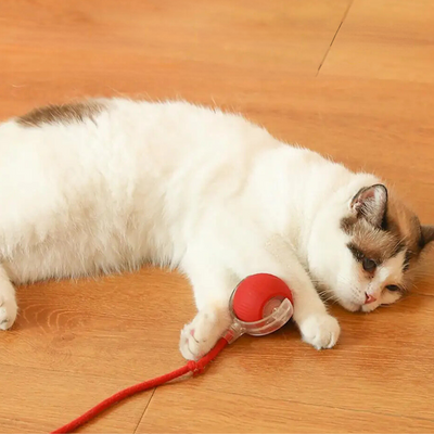 1+1 GRATIS | PurrrTwirl™ | Interaktiver Spielball mit Schwanz für Katzen