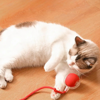 1+1 GRATIS | PurrrTwirl™ | Interaktiver Spielball mit Schwanz für Katzen