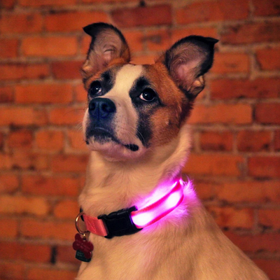 50% RABATT | BrightTail™ | LED